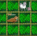 Alpha Zoo