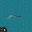 Imperial Warships