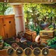 Пропавшие шахматные фигуры