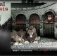 Королевские животные