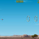 Stunt Pilot