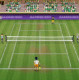 Tennis champions